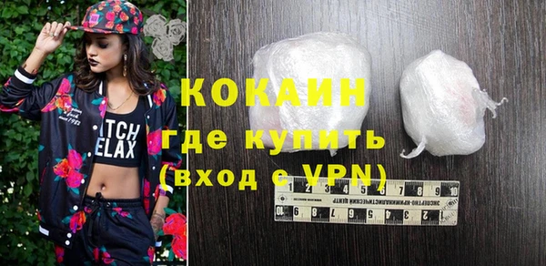 индика Богородицк