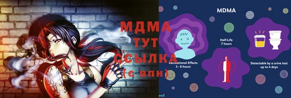 индика Богородицк