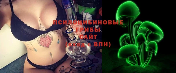 индика Богородицк