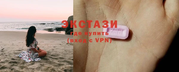 индика Богородицк