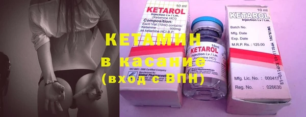 индика Богородицк