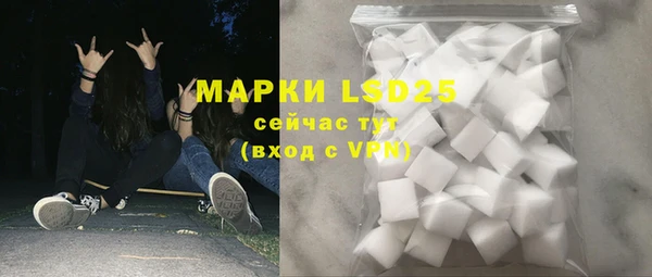 индика Богородицк