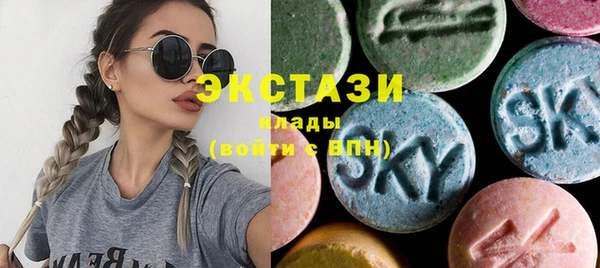 индика Богородицк