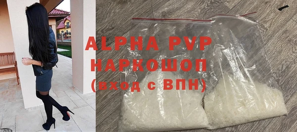 индика Богородицк