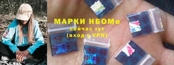 индика Богородицк