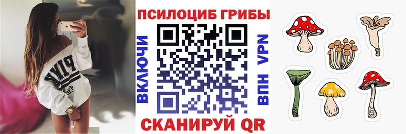 Купить закладки  Демидов  Галлюциногенные грибы Psilocybine cubensis 
